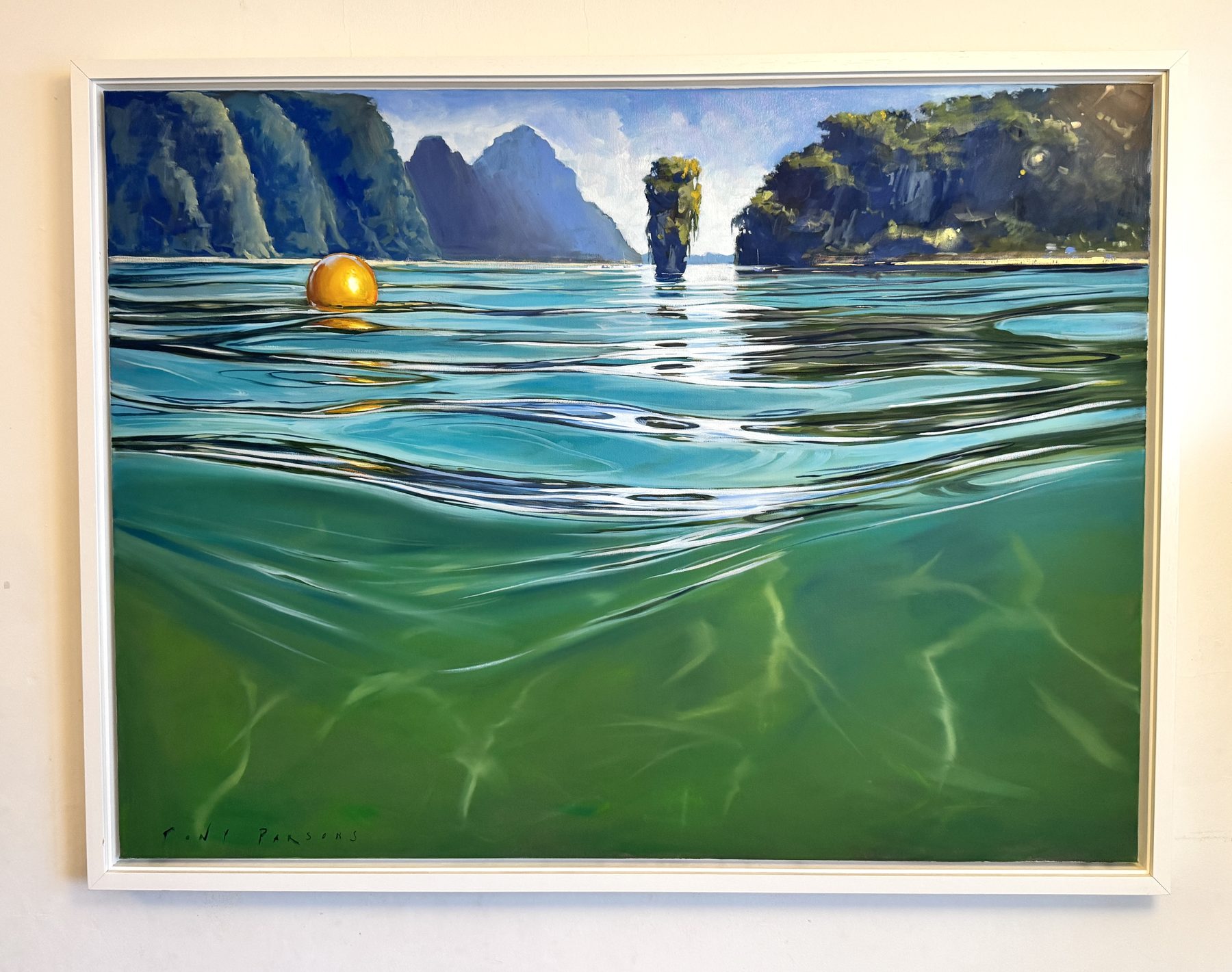 A Study in the Nature of Reflection